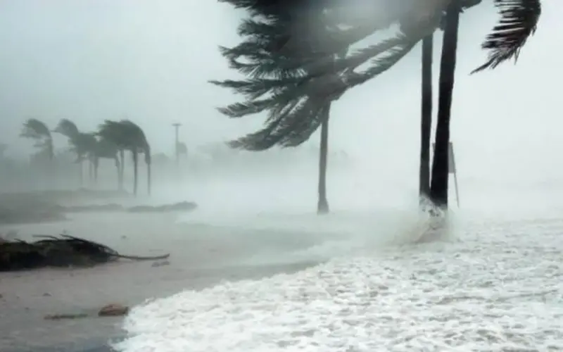 بين الشبورة والرياح.. تفاصيل حالة طقس الإسكندرية غداً