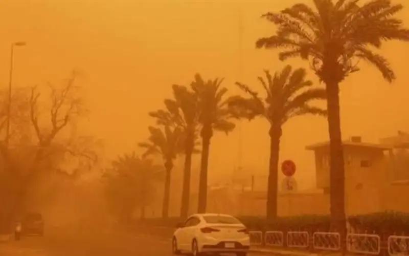 تجتاح 15 محافظة.. «الأرصاد» تحذر من عودة الرياح الخماسين القوية الساعات المقبلة