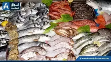 تراجع البوري.. أسعار السمك اليوم الأربعاء بسوق العبور | أسعار السلع