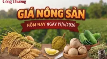 تراجع حاد في جميع المجالات.