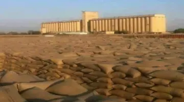 تصاعد أسعار المحاصيل بشرق السودان