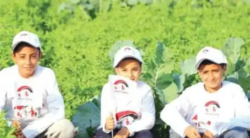 تطوير شبكات الحماية الاجتماعية: كيف يساهم برنامج تكافل وكرامة في دعم الأسر الأولى بالرعاية؟