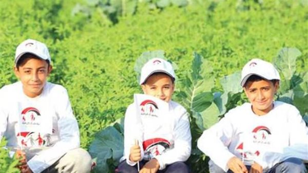 تطوير شبكات الحماية الاجتماعية: كيف يساهم برنامج تكافل وكرامة في دعم الأسر الأولى بالرعاية؟