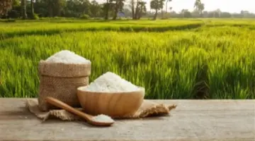 تعرف على أسعار الأرز اليوم الخميس بالسوق المحلية