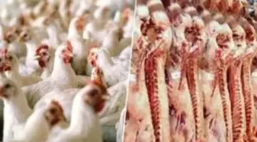 تعرف على أسعار الدواجن واللحوم والأسماك.. اليوم بسوهاج