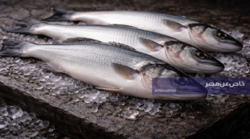 تعرف على أسعار السمك البلطي والفيليه والجمبري ليوم الإثنين 13 أبريل 2026 وما تتوقع دفعه لكل كيلو