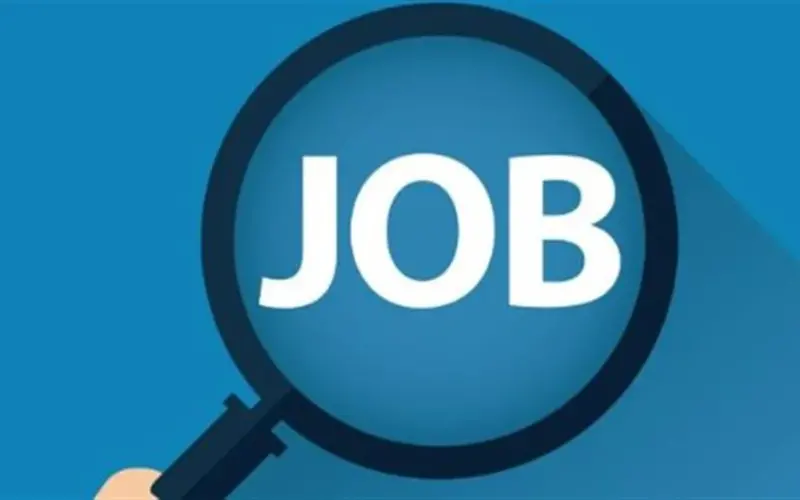 تفاصيل نشرة التوظيف الأسبوعية لشهر أبريل 2026.. تخصصات عديدة ورواتب مجزية