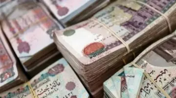 تنسيق بين المالية والوحدات الحسابية لضمان سرعة صرف مستحقات العاملين في موعدها