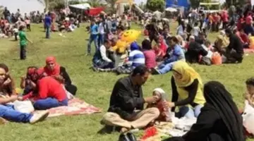 تهاني شم النسيم 2026: أروع الرسائل والصور لمشاركتها مع الأهل والأصدقاء