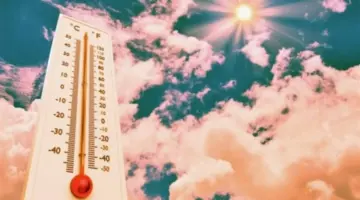 توقعات الطقس اليوم: كيف تتأثر محافظات الصعيد وسيناء بالرياح والأتربة المثارة