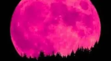 توقيت ذروة القمر الوردي 2026 وأفضل المواقع لمشاهدة لمعانه الذهبي في سماء الأرض