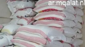 ثبات أسعار الأرز في السوق المصري.. والطن يتراوح بين 12.5 و24 ألف جنيه – مقالات نيوز