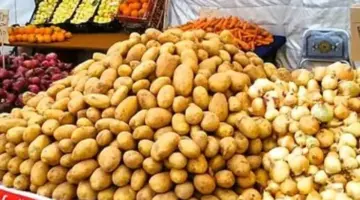 ثبات أسعار الخضر والفاكهة في أسواق الإسماعيلية اليوم