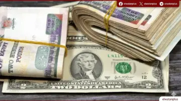ثبات أسعار الدولار في البنوك المصرية