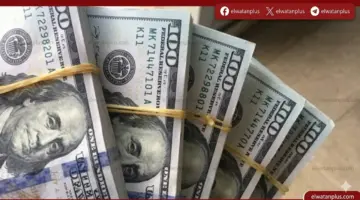 ثبات سعر الدولار في البنوك اليوم