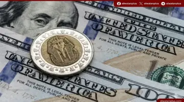 ثبات سعر الدولار في مصر اليوم