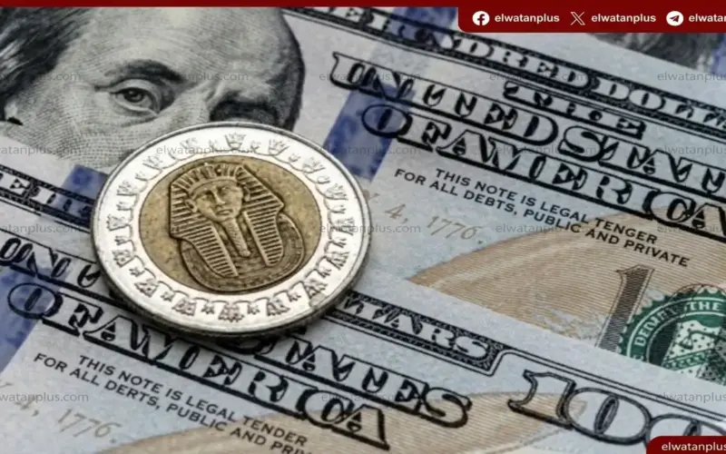 ثبات سعر الدولار في مصر اليوم