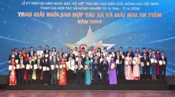 جائزة ماي آن تيم وتصنيع المنتجات الزراعية لشركة جيا لاي.