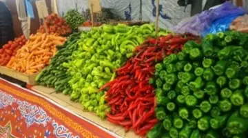 جدول أسعار الخضروات بمحافظة الأقصر اليوم الخميس 16 أبريل 2026