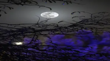 جريدة الرياض | عطارد يُجمّل السماء فجر يوم غدٍ