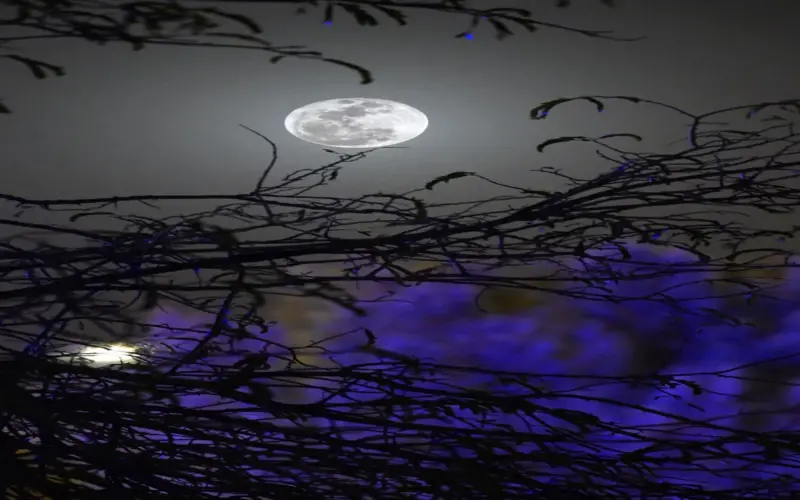 جريدة الرياض | عطارد يُجمّل السماء فجر يوم غدٍ