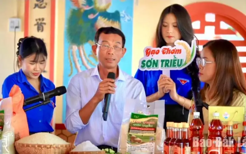 جسر يصل المنتجات الزراعية بالسوق.