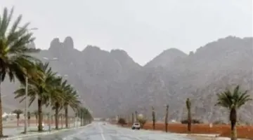 حالة الطقس في المملكة: توقعات بهطول أمطار بنسبة 65% والحرارة تبلغ 28 درجة للعظمى