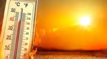 خريطة الظواهر الجوية والشبورة المائية على الطرق الرئيسية