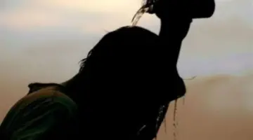 خريطة درجات الحرارة في المحافظات.. القاهرة تسجل 35 وأسوان تناهز الأربعين في الذروة