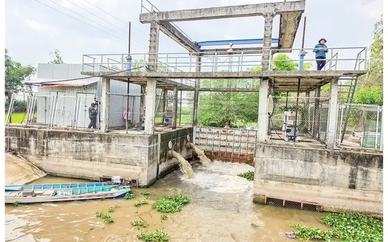 خفض التكاليف لضمان نجاح محصول الأرز في فصلي الصيف والخريف.