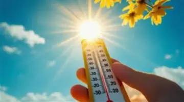 درجات الحرارة في القاهرة والمحافظات غدا.. طقس دافئ على معظم الأنحاء