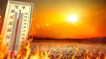 درجات حرارة تبلغ 37 بهذه المنطقة.. تفاصيل طقس الأيام المقبلة