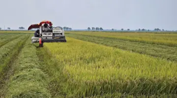 دعم إعادة هيكلة القطاع الزراعي بهدف زيادة القيمة.