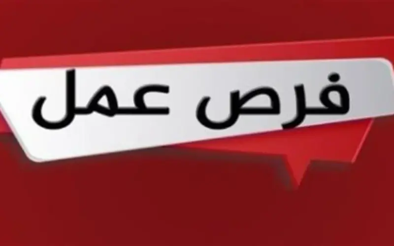 دعم ذوي الهمم في سوق العمل.. نصيب “قادرون باختلاف” من نشرة التوظيف الأسبوعية