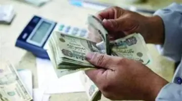 دليل كامل لأصحاب المعاشات حول مواعيد الصرف وكيفية التعامل مع حالات الطوارئ الفنية