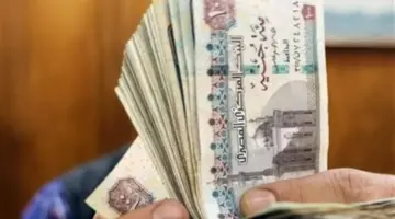 رابط الاستعلام عن معاشات مايو 2026 بالرقم القومي عبر بوابة الهيئة القومية للتأمين