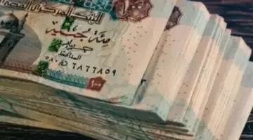 رسميًا.. “التأمينات” توضح خطوات الاستعلام عن معاشات مايو 2026 بالرقم القومي