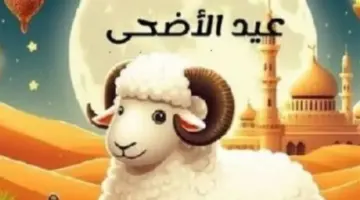 رسميًا.. عدد أيام إجازة عيد الأضحى 2026 للقطاعين العام والخاص بمصر