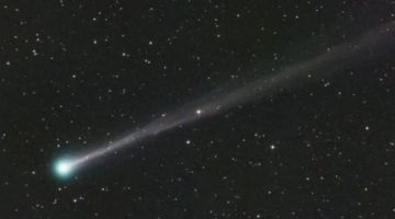 زائر يرجع بعد 170 ألف عام