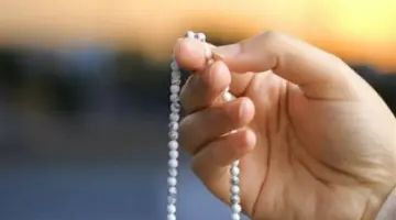 زاد المسلم اليومي: دليل الأذكار النبوية الصحيحة من الفجر وحتى الشروق