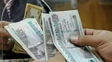 زيادة معاش تكافل وكرامة 2026.. كل ما تود معرفته عن المواعيد وطريقة التسجيل