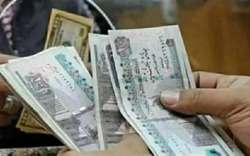 زيادة معاش تكافل وكرامة 2026.. كل ما تود معرفته عن المواعيد وطريقة التسجيل