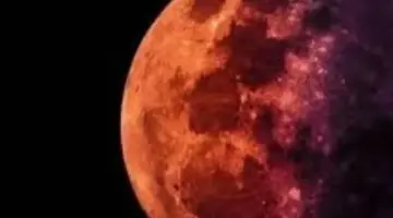 سر التسمية وحقيقة اللون الوردي في سماء شهر أبريل