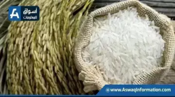 سعر الأرز اليوم الأحد لدى التاجر.. بكام طن الشعير؟ | أسعار السلع