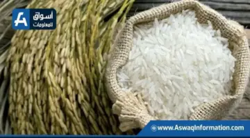 سعر الأرز اليوم الثلاثاء لدى التاجر.. بكام طن الشعير؟ | أسعار السلع