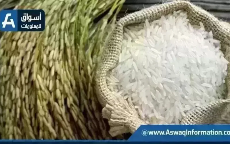 سعر الأرز اليوم الخميس عند التاجر.. بكم طن الشعير؟ | أسعار السلع