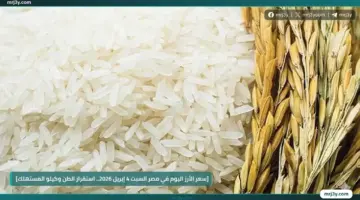 سعر الأرز اليوم في مصر السبت 4 إبريل 2026 استقرار الطن وكيلو المستهلك