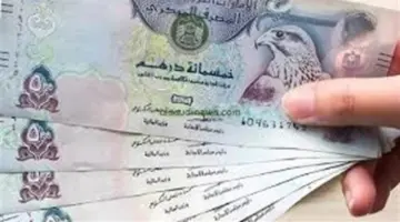 سعر الدرهم الإماراتي اليوم مقابل الجنيه السبت 25 أبريل 2026