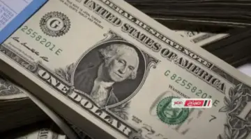 سعر الدولار اليوم الثلاثاء 21 أبريل 2026 في المصارف المصرية