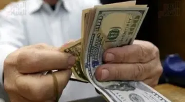 سعر الدولار اليوم في مصر.. استقرار ملحوظ بالسوق المصرفي